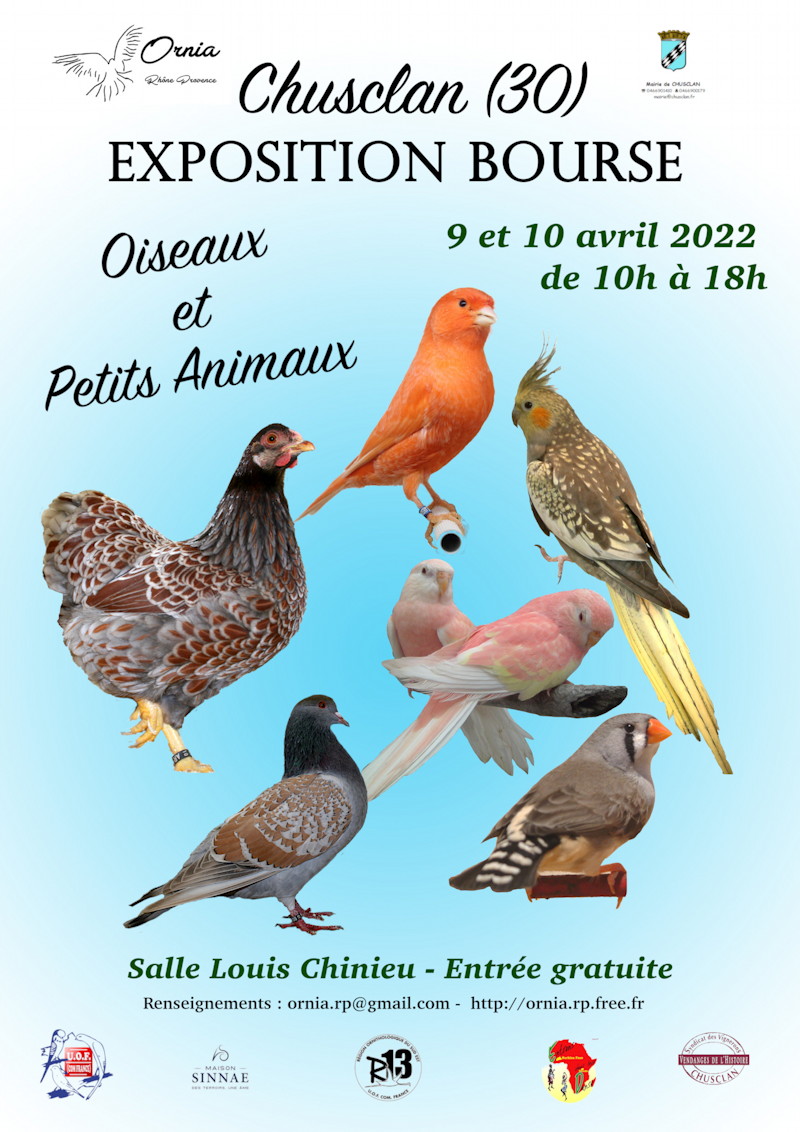 Exposition bourse Chusclan avril 2022