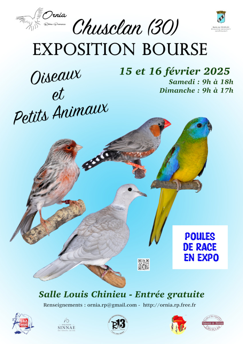 Exposition bourse Chusclan fvrier 2025